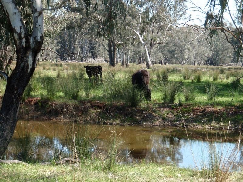 123 Nankervis Lane, Oxley VIC 3678