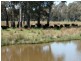 123 Nankervis Lane, Oxley VIC 3678
