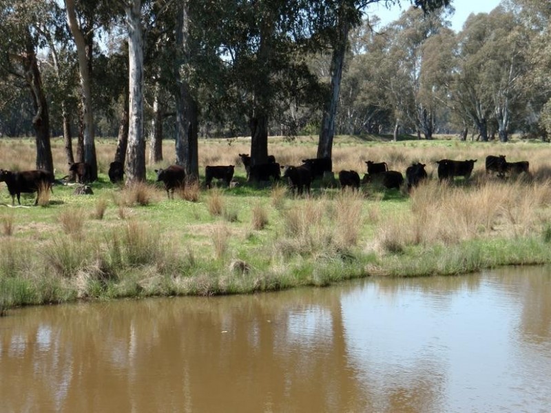 123 Nankervis Lane, Oxley VIC 3678