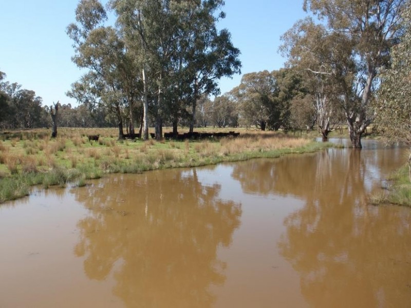 123 Nankervis Lane, Oxley VIC 3678