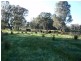 123 Nankervis Lane, Oxley VIC 3678