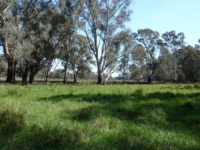 123 Nankervis Lane, Wangaratta VIC 3677
