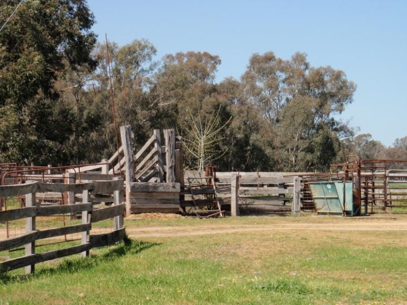 123 Nankervis Lane, Wangaratta VIC 3677