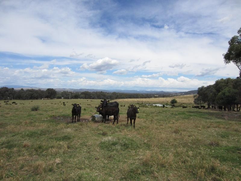 Lot 2,  Thrums Road, Wangaratta VIC 3677