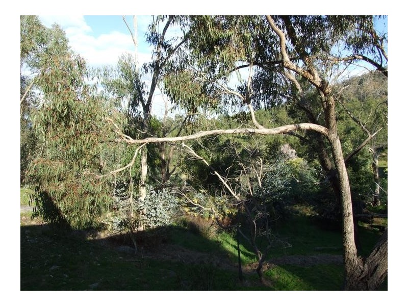 Wangaratta South VIC 3678