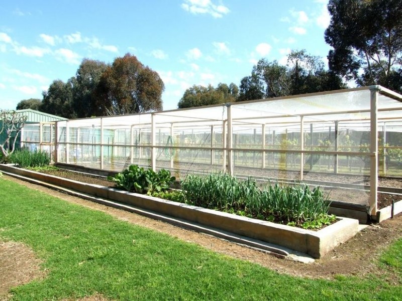 Wangaratta VIC 3677