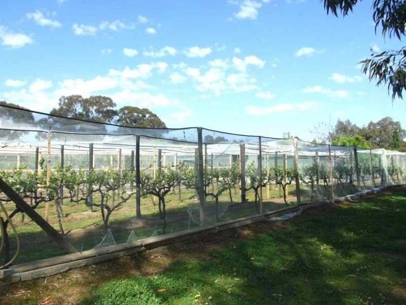 Wangaratta VIC 3677