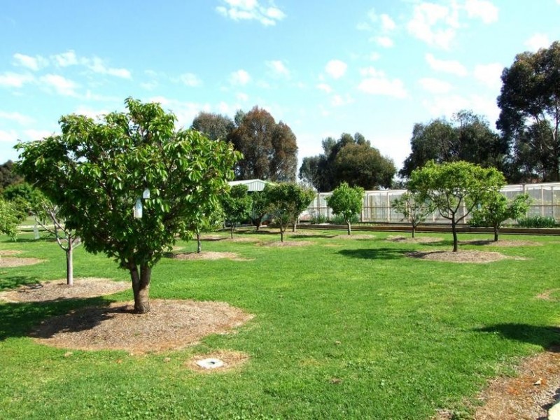 Wangaratta VIC 3677