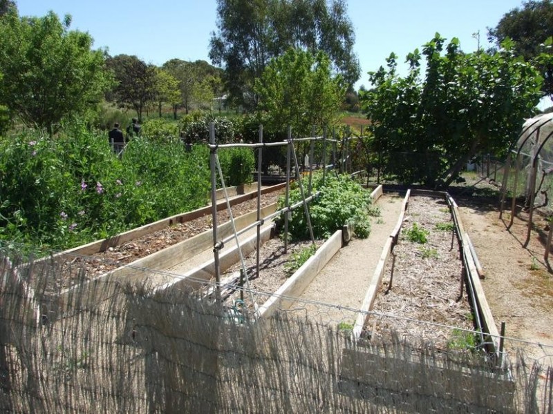 Greta West VIC 3675
