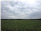 Wangaratta VIC 3677