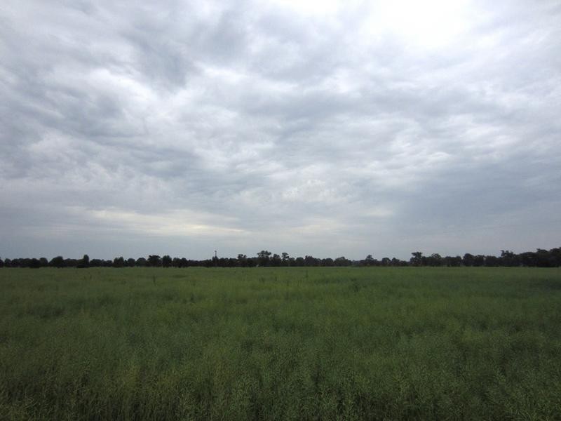 Wangaratta VIC 3677