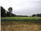 Wangaratta VIC 3677