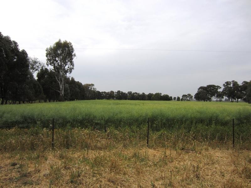 Wangaratta VIC 3677