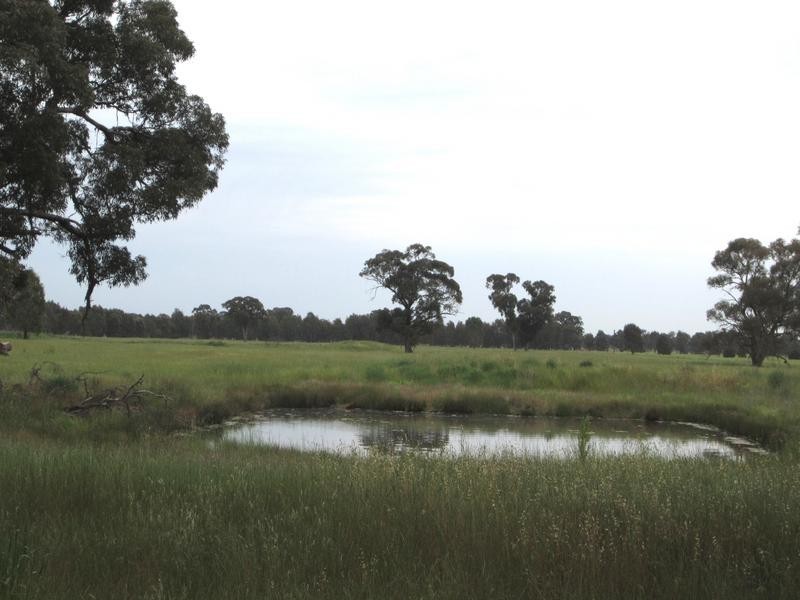 Wangaratta VIC 3677