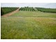 Yarrawonga VIC 3730