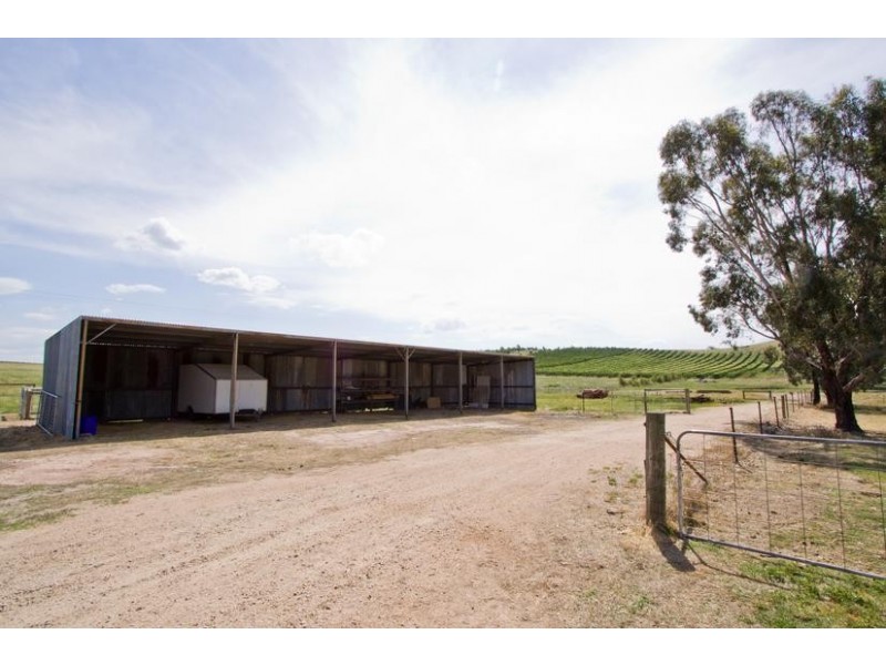 Wangaratta VIC 3677