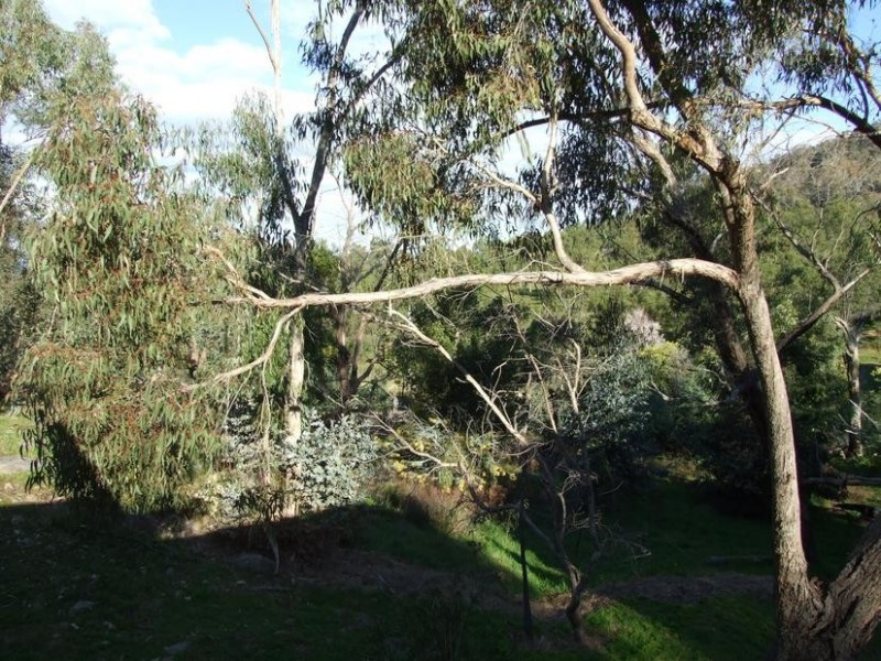 Wangaratta South VIC 3678