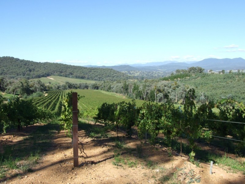 66 Murtaghs Lane, King Valley VIC 3678