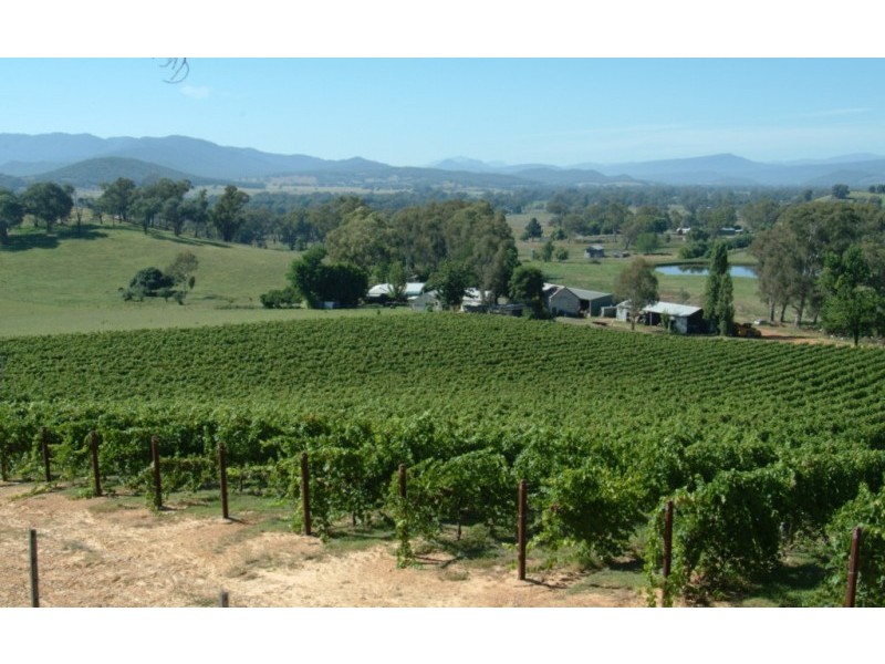 66 Murtaghs Lane, King Valley VIC 3678