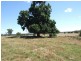 Wangaratta VIC 3677