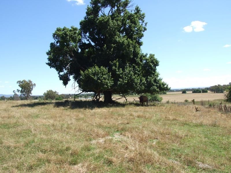 Wangaratta VIC 3677