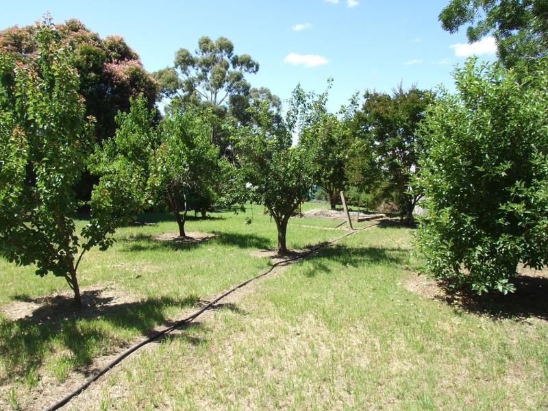 Wangaratta VIC 3677
