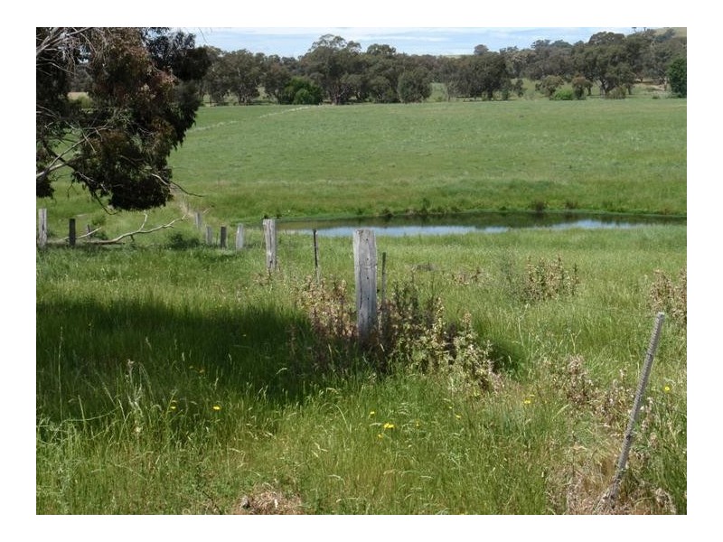 Wangaratta VIC 3677