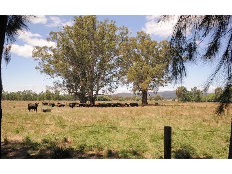 Wangaratta VIC 3677