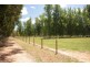 Wangaratta VIC 3677