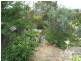 Glenrowan VIC 3675