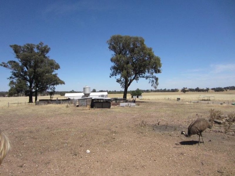 Boweya VIC 3675