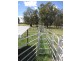Milawa VIC 3678