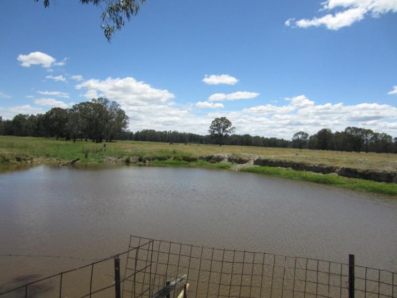 Wangaratta VIC 3677