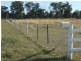 Wangaratta VIC 3677