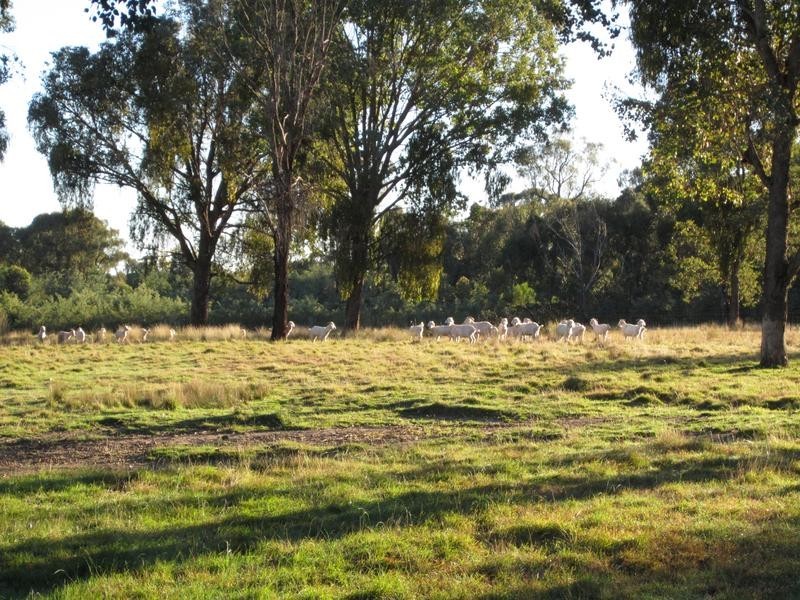 Greta South VIC 3675