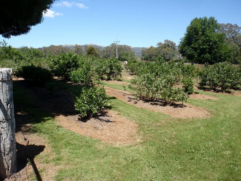 69 FOSANGS LANE, King Valley VIC 3678