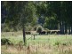 69 FOSANGS LANE, Wangaratta VIC 3677