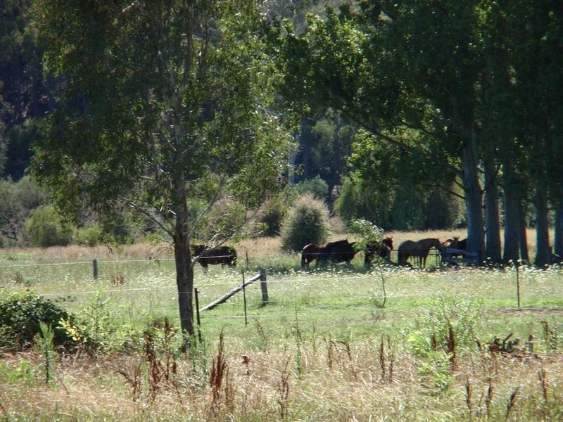 69 FOSANGS LANE, Wangaratta VIC 3677