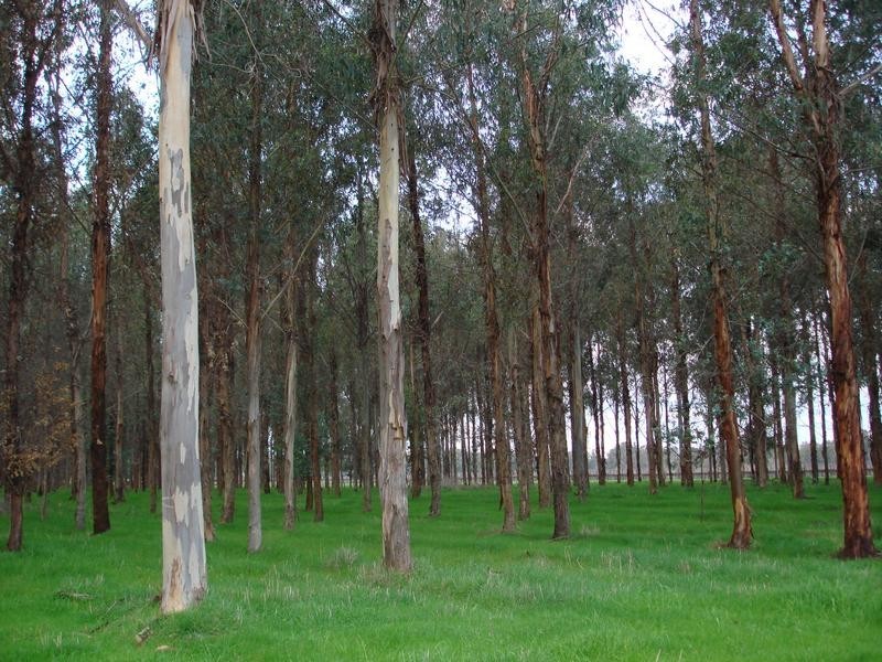 King Valley VIC 3678