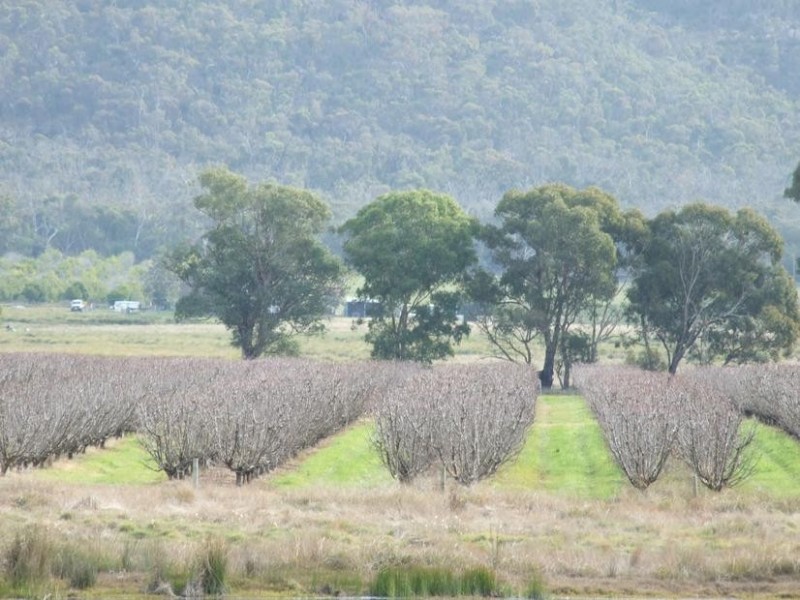 Glenrowan VIC 3675
