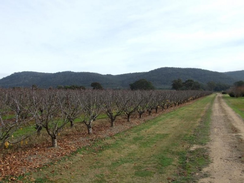 Glenrowan VIC 3675