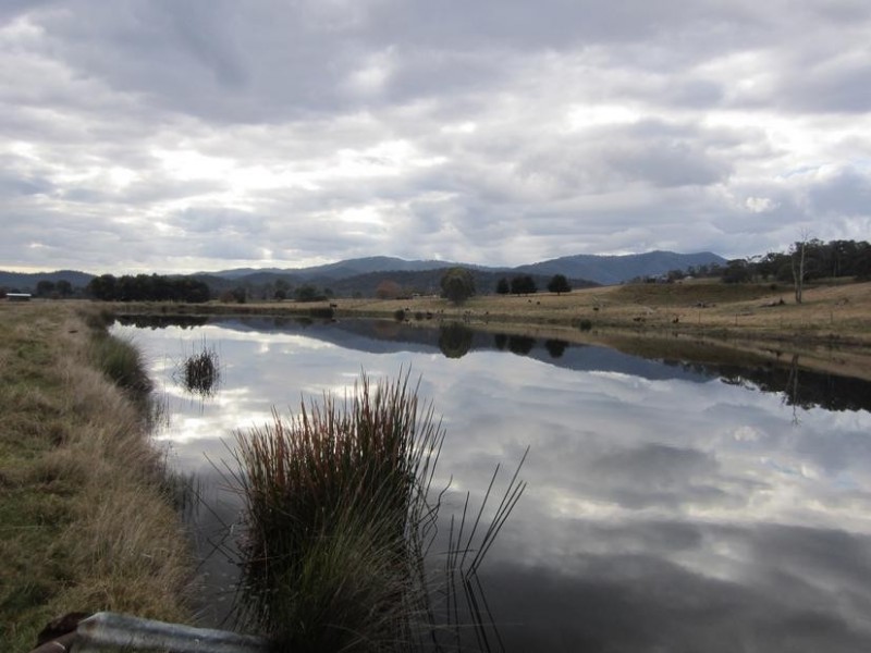 Wangaratta VIC 3677