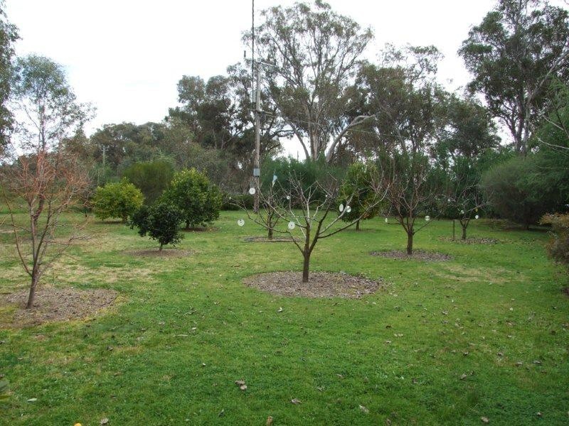 Wangaratta South VIC 3678