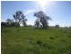 Wangaratta VIC 3677
