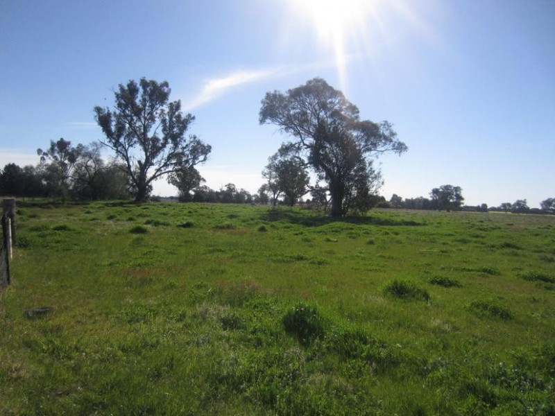 Wangaratta VIC 3677