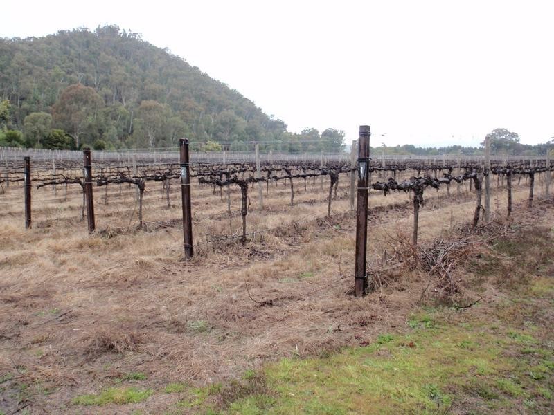 King Valley VIC 3678