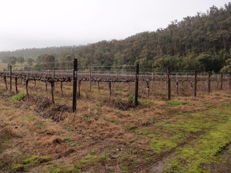 King Valley VIC 3678