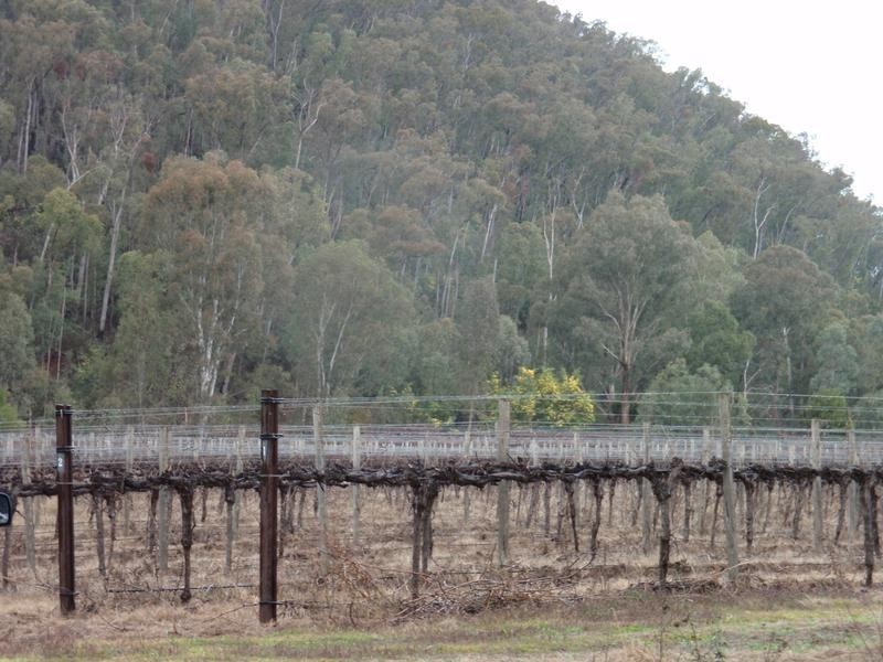 King Valley VIC 3678