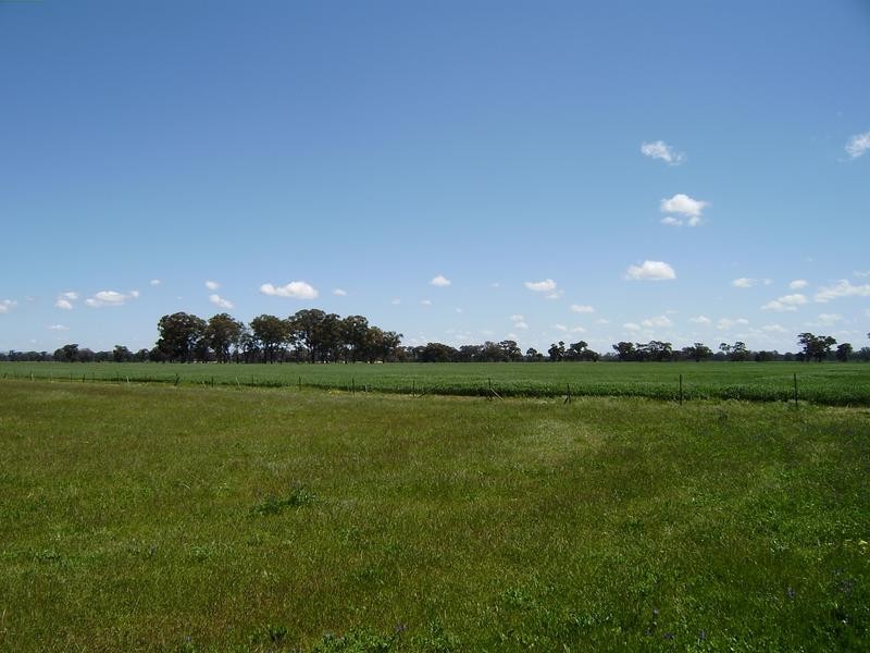 Wangaratta VIC 3677