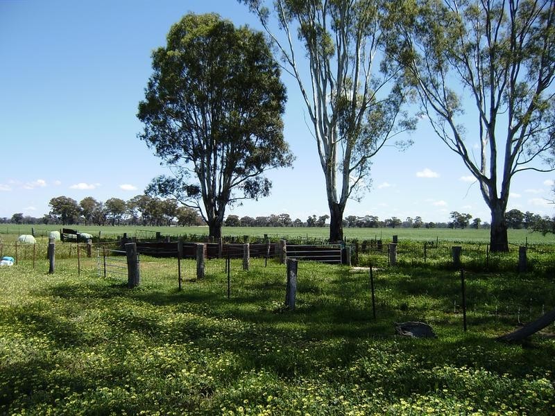 Wangaratta VIC 3677